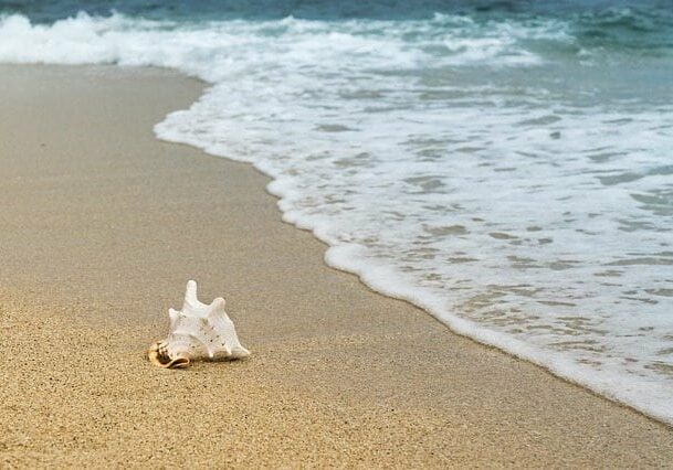 background-3062011_640